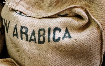Arabica en robusta verschillen