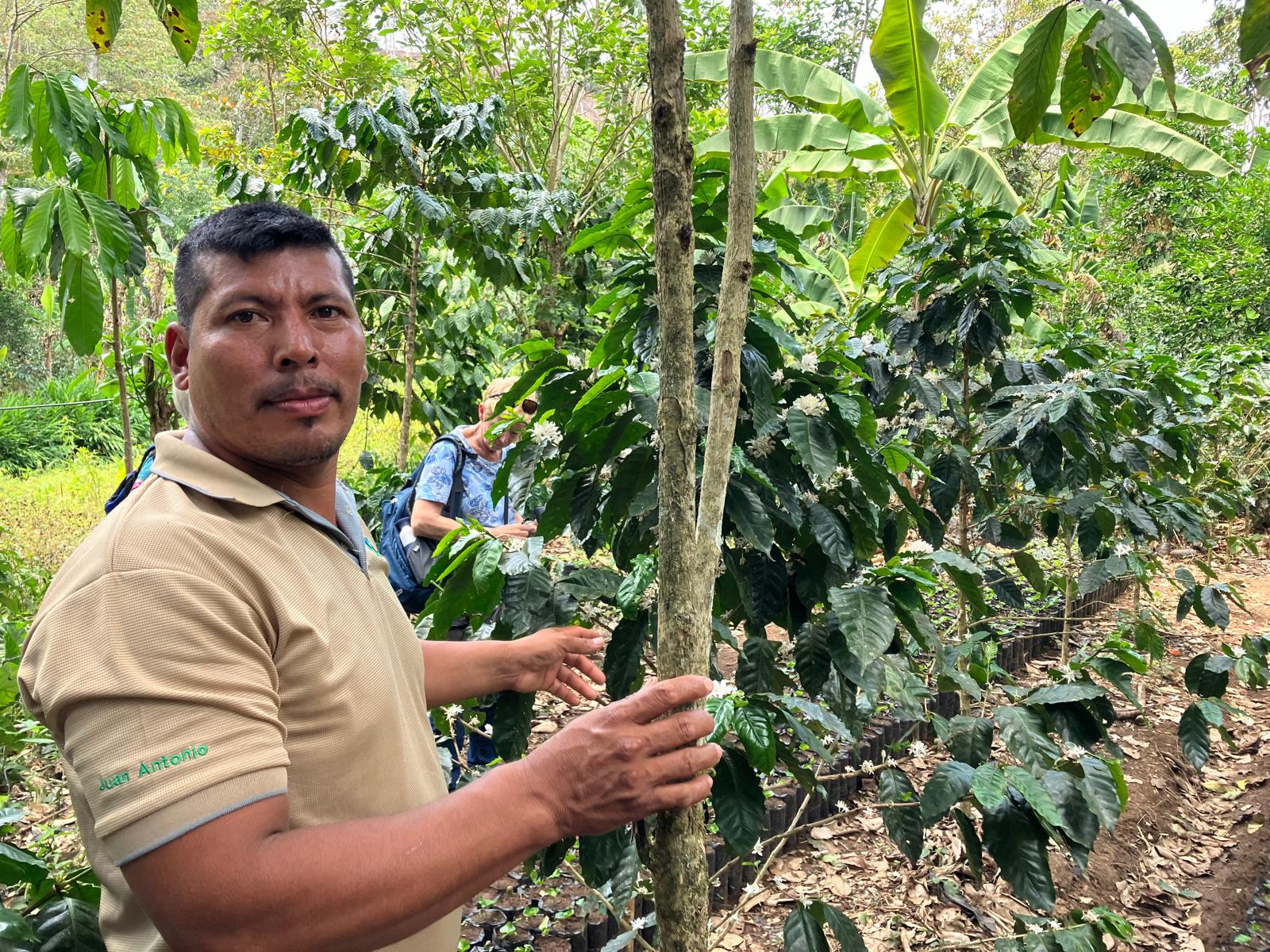 Een koffie boer in Matagalpa